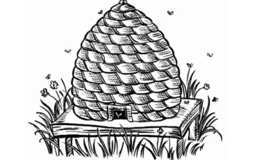 Quiz Abeilles