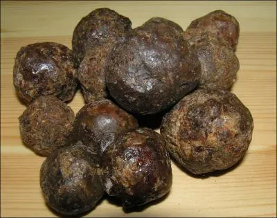 Quelle matire collante et brune est utilise par les abeilles pour colmater les trous ou encore pour dsinfecter les cellules dans la ruche ?