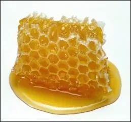 En plus de son got et de son parfum extraordinaire, la vertu du miel qui intresse de plus en plus le monde scientifique, c'est son pouvoir ...