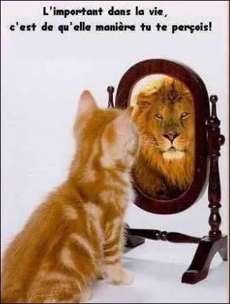 Selon le rapport 2012 de la Fondation de France, la solitude toucherait 4, 8 millions de Franais. Un bond de 20% en 2ans qui touche surtout (contrairement aux ides reues) ?