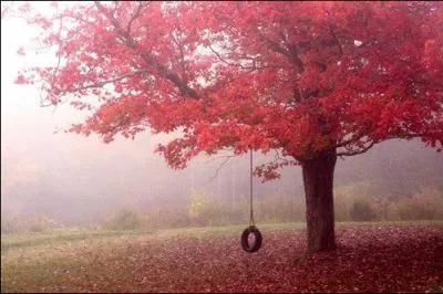 Quel artiste dit ceci  la solitude ?  Oh ma chre solitude faut pas qu'tu d'viennes une habitude J'ai besoin d' ta sollicitude.  