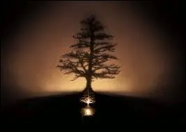 Qui chantait  Ce soir c'est Nol ma Mie, c'est Nol et je suis loin de toi  ?