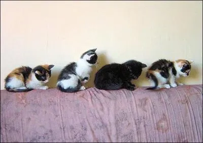 Comment traduit-on derrire en anglais ?