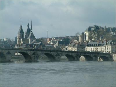 Blois est une ancienne rsidence royale situe dans la rgion Centre. Par quel cours d'eau est-elle arrose ?