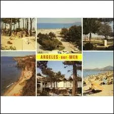 Je vous emmne maintenant  Argels-sur-Mer, o les habitants se nomment les ...