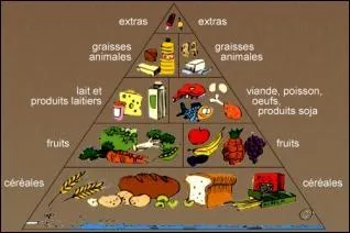 Quels aliments apportent le fer hminique qui est plus facilement assimil par l'organisme ?