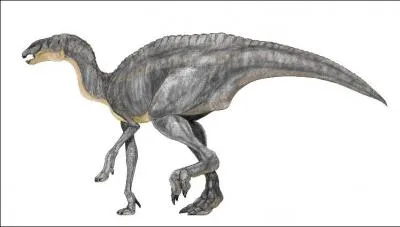 Quel dinosaure a un long bec de canard qui lui permet de pousser de terribles beuglements ?