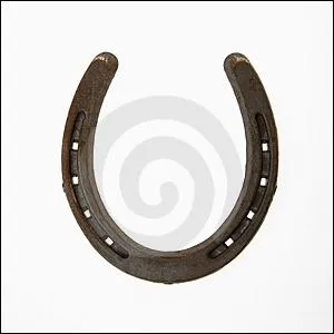 Quels sont les trois rles de la ferrure ?