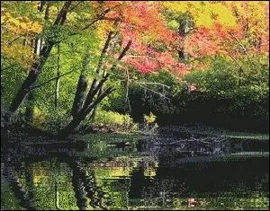 Mais, les remarques veillent notre intrt plutt que de nous contrarier. Nous nous laissons tenter par la discussion. Comme nous voyons les choses telles qu'elles sont, alors nous faisons preuve :