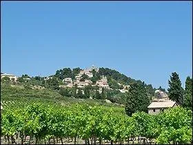 Je vois votre oeil qui ptille. Il manque quelque chose avec le gteau. Suis-je bte ! Le vin de Rasteau accompagnera la douceur ptissire. De quelle rgion provient-il ?