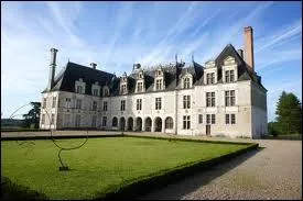 Il est clbre pour sa  Galerie des Illustres . Il date du XVIe sicle. Il est situ dans le Loir-et-Cher  une dizaine de kilomtres au sud de Blois. Voici le chteau de(d') 
