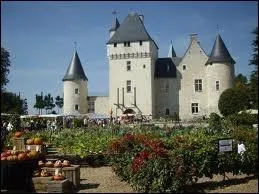 Les 12 jardins de ce chteau prsentent une jolie collection de roses parfumes et d'iris. Ses curies monumentales fournissaient des talons au roi Franois Ier. Voici le chteau...