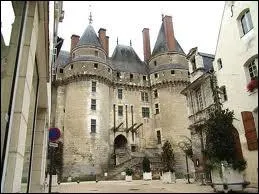 Voici le chteau de Langeais.