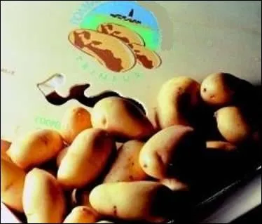 Nos les produisent des pommes de terre dlicieuses. Pour l'instant une seule a russie  avoir une AOP, laquelle ?