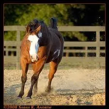 Il doit avoir un aspect : (plusieurs rponses possibles)