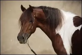 Dans quelle discipline est-il utilis ? (plusieurs rponses possibles)