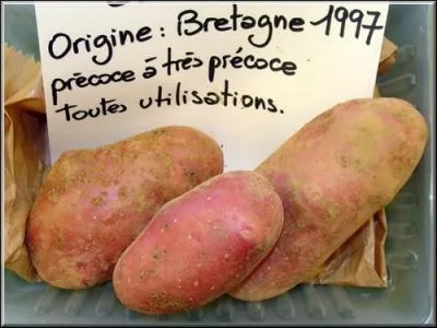 Qui aurait l'ide d'appeler une pomme de terre... . . ?