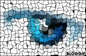 De quelle mission s'agit-il ?