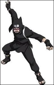 Quel est le Ninjutsu de Kankur ?