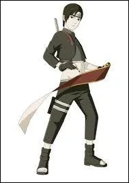 Quel est le mode veil de Sai ?