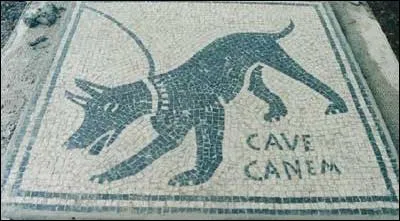 Cochez la bonne traduction