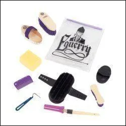 Dans quel ordre faut-il panser son cheval ?