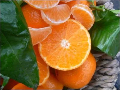 Mes qualits sont l'indulgence et la gnrosit. Je suis un prnom magnanime pardonnant aux vaincus.