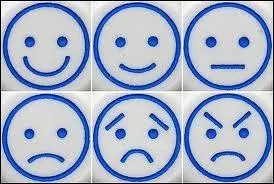 On observe sur cette image...