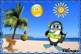 Regardez bien l'image... Qu'apercevons-nous ?