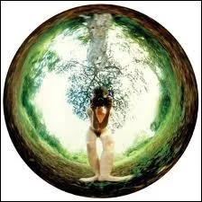 Manire d'voquer l'ide d'une personne ou d'une chose sans en faire expressment mention; insinuation, sous-entendu :