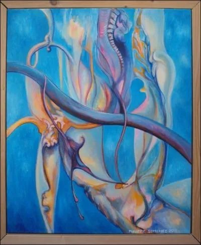 Fond ocanique  plus de 2000m de profondeur :