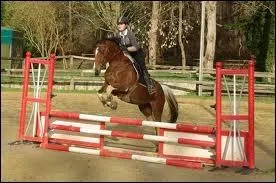 Quel est le nom de cet obstacle ?