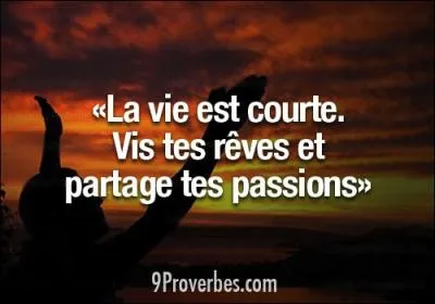 Compliquons le problme.  La vie qui est courte nous est chre . Sachant que je veux mettre l'accent sur le fait qu'il s'agit d'une conjonctive de circonstance, comment dois-je ponctuer ?