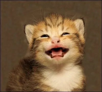 Qui a dit : Une absence totale d'humour rend la vie impossible ?