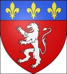 A quelle mtropole appartient ce blason ?