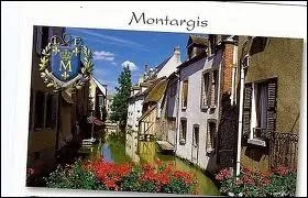 Promenons-nous non pas dans les bois mais dans la ville de Montargis, o les habitants portent le gentil ...
