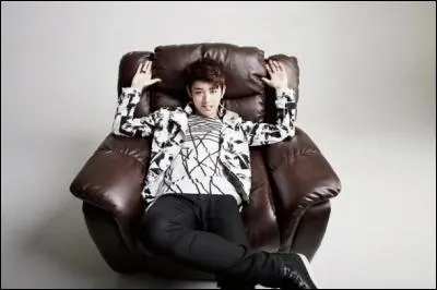 Qui est le chanteur principal ?