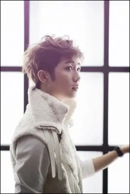 Qui est le rappeur principal ?