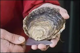 Voici les hutres, quel est ce mets rare qui sera propos aux amateurs, la plus grosse des hutres pouvant peser de 300 g  1, 5 kg ?