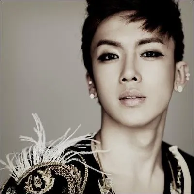 Qui est le chanteur principal ?