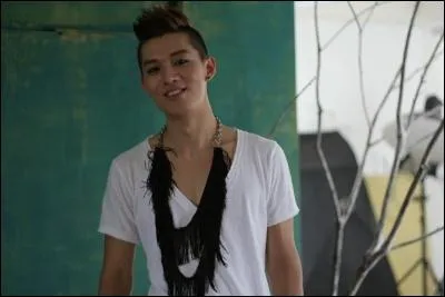 Qui est le chanteur principal du groupe ?