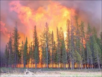 Quelles sont les causes des incendies ?