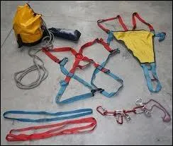 Que signifie L. S. P. C. C ?