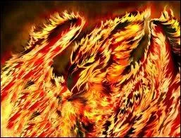 Je renais de mes cendres, je suis :