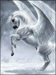 Je suis un cheval ail, je suis :