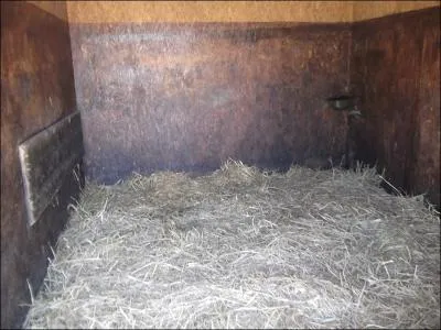 Curer un box, c'est :