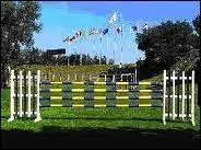 Celui-ci est plus compliqu, je suis...