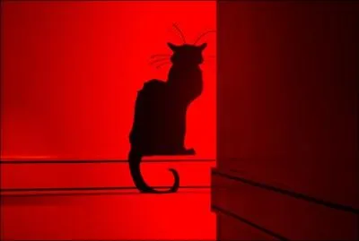 Un chat de luxe, voulant aller manger de la souris glace dans la rgion du Behring, vient se renseigner. Quelle prcaution doit-il prendre ?