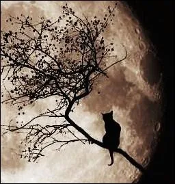 Croyant les mdisances des autres secrtaires, que dcide de faire le chef ?