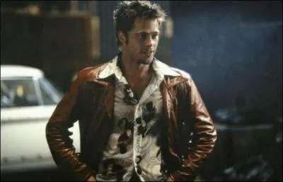 De quel film avec Brad Pitt est issue cette photo ?